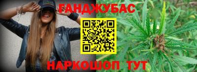 спиды Славгород