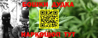 спиды Славгород