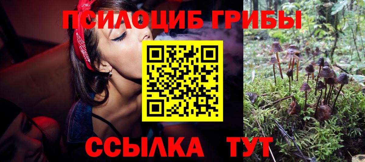 Галлюциногенные грибы ЛСД Моздок