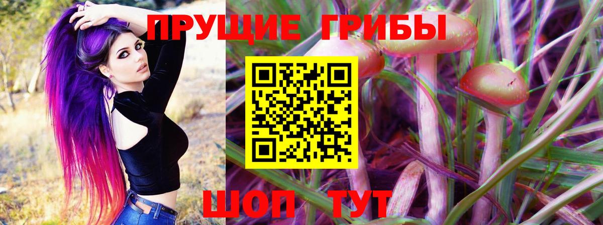 Моздок  Галлюциногенные грибы GOLDEN TEACHER  Вход с VPN 